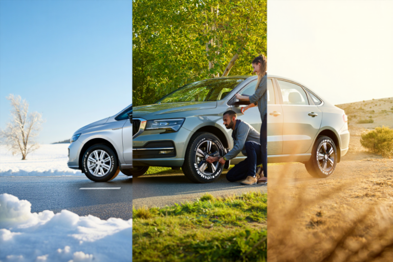 0fb6622df3fd6e93e96cb8bdc49e9800